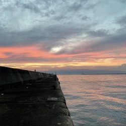 よく釣れました!