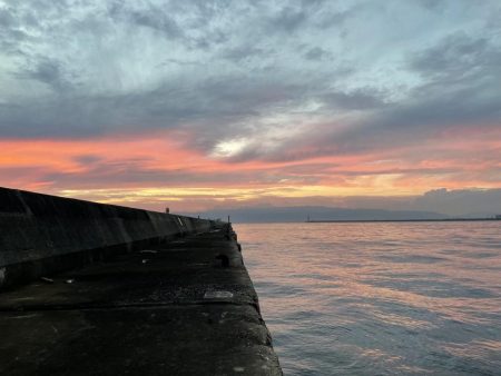 よく釣れました!