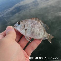 キス狙いが以外にも