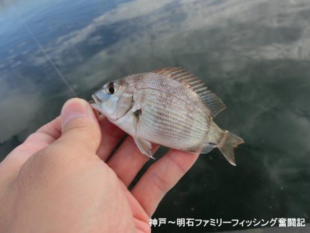 キス狙いが以外にも