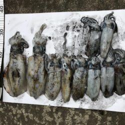 長時間耐久の結果は？