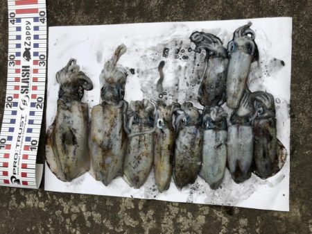 長時間耐久の結果は？