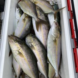 津島でライトジギング