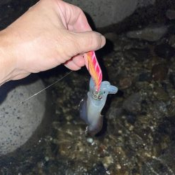 台風の影響は？