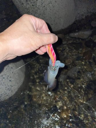 台風の影響は？