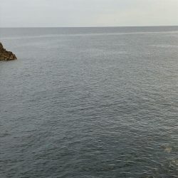 2021佐渡ヶ島 エギング 8回目