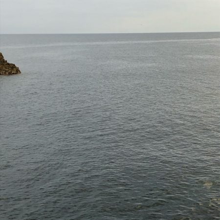 2021佐渡ヶ島 エギング 8回目