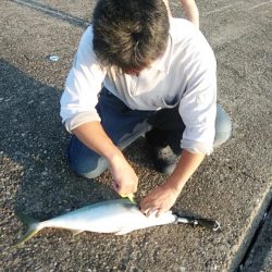 活性が上がり始めた播磨新島のキス