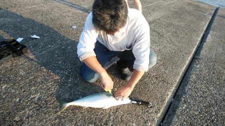 活性が上がり始めた播磨新島のキス