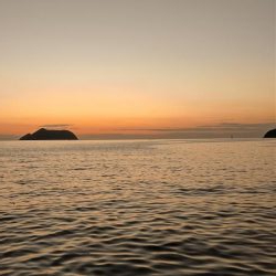 TEAMゲッソー調査隊