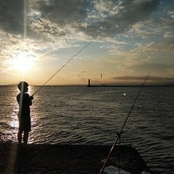 今日も買い物待ち釣行