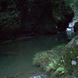 秋の夕暮れチャビング