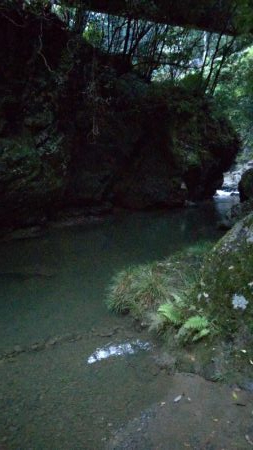 秋の夕暮れチャビング