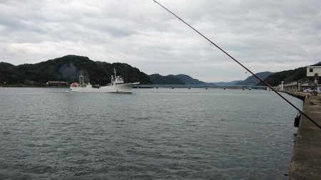 津居山漁港のキス調査