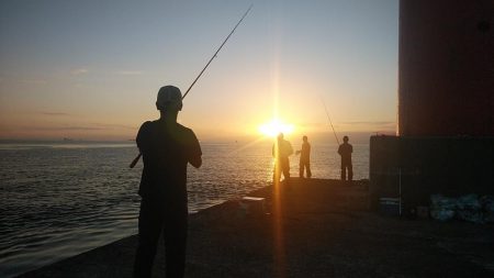 播磨新島のキス調査