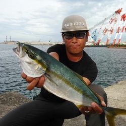 活性が下がった新島釣行のキス