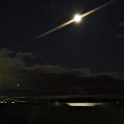 播磨新島のキス調査