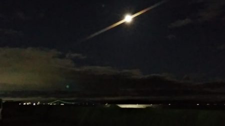 播磨新島のキス調査