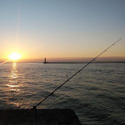 活性が上がらない播磨新島のキス