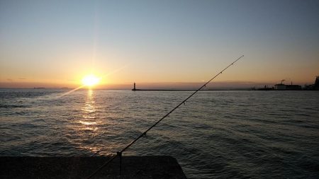 活性が上がらない播磨新島のキス