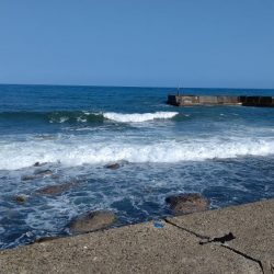 一年ぶりのエギング釣行