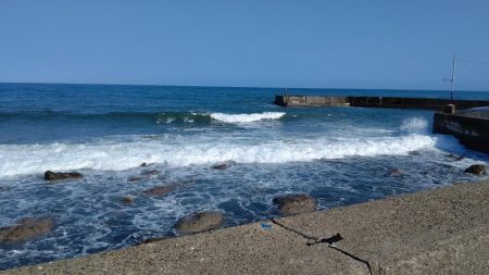 一年ぶりのエギング釣行