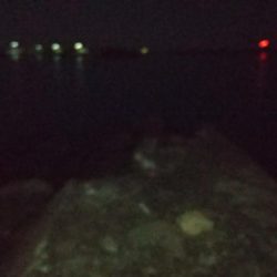 サバ トップゲーム☆