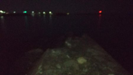 サバ トップゲーム☆