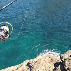 追い風で竿抜けポイントで連発