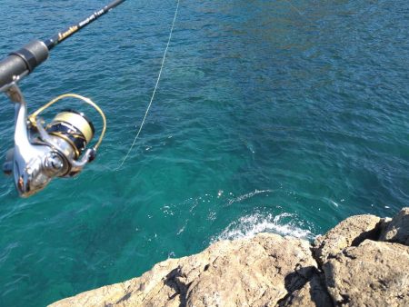 追い風で竿抜けポイントで連発