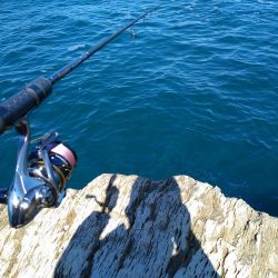 渋い秋イカエギング