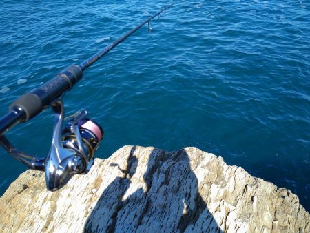 渋い秋イカエギング