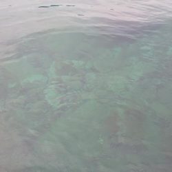 毎度です。アオリ狙い。密回避は無理っす(笑)