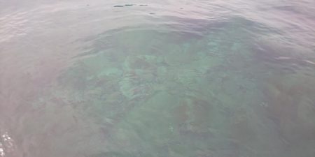 毎度です。アオリ狙い。密回避は無理っす(笑)