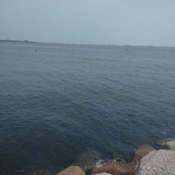 ライトショアジギング