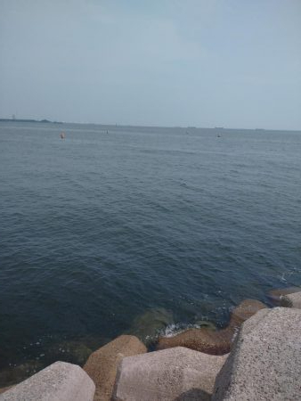 ライトショアジギング