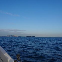 ボートキャスティングエギング