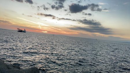 リベンジタチウオ