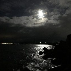 良型太刀魚、青物ボウズ