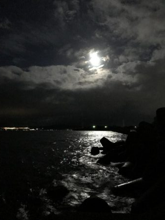 良型太刀魚、青物ボウズ