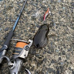 ソリッドティップ感度良好