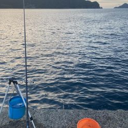 ダンゴでシオ！