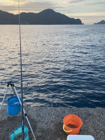 ダンゴでシオ！