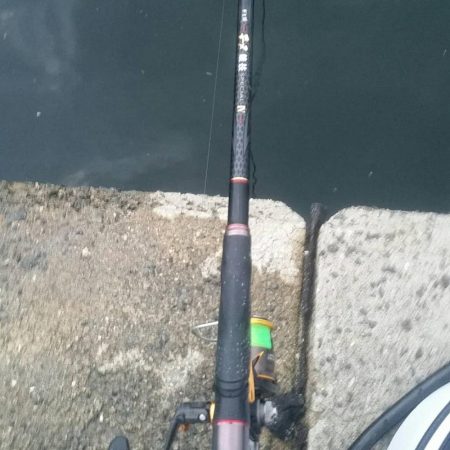 くろねこ流紀州釣りに挑戦！！