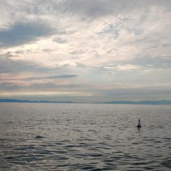 フロートゲーム～