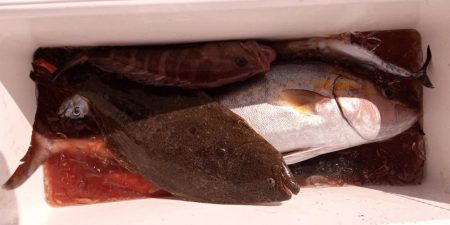 康仁丸・ジギング釣り果