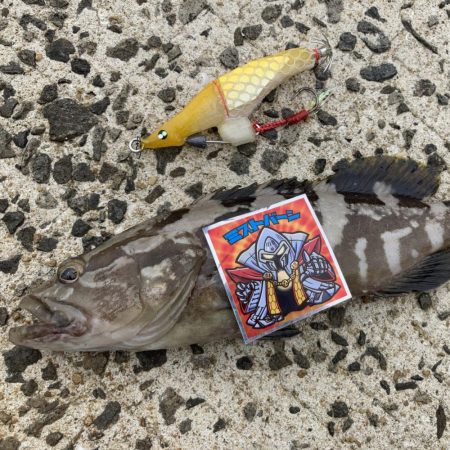 A.P.Pフィッシングガイドサービス　先制ボーズ逃れでセイゴをRIDEONも、ブレドロデストロイの活躍によりその効果は薄れる。