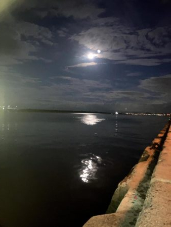 軽量ジグヘッドの着底の取り方