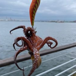 久しぶりにタコ　つ抜け