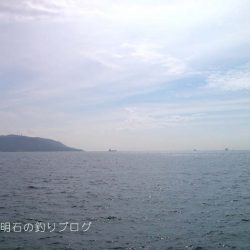 秋の小チヌの数釣り